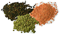 Grains & Pulses